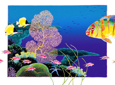 S16-'Harlequin Tuskfish'