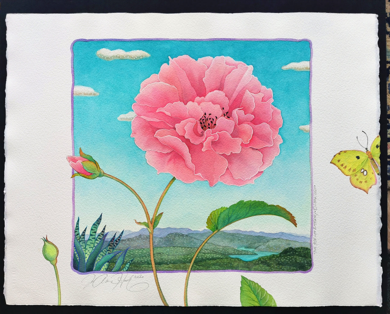 'Pink Rose with Butterfly'