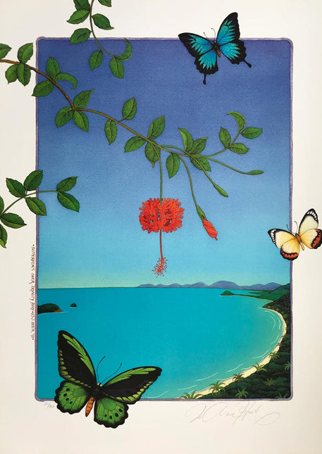 B1-'Butterflies over Trinity Bay'