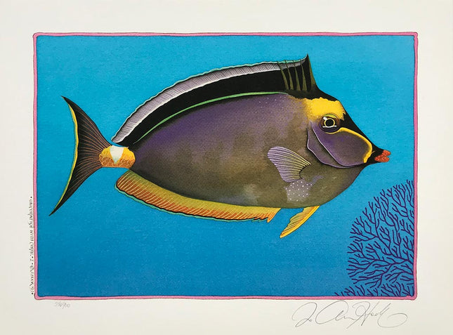 D13-14-15-16  With Coral