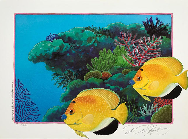 D13-14-15-16  With Coral