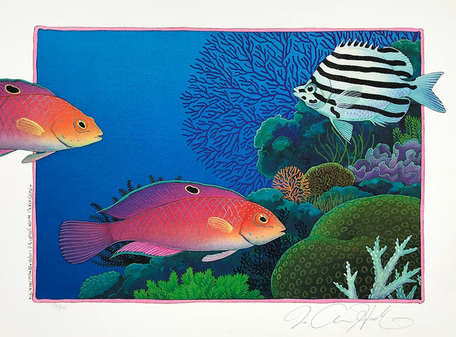 D13-14-15-16  With Coral