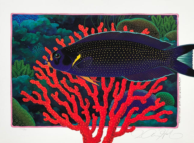 D13-14-15-16  With Coral