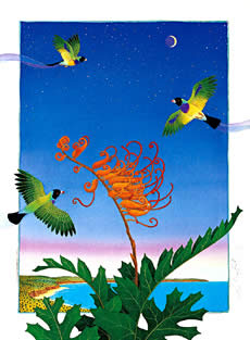 XL2-'Finches with Grevillea'