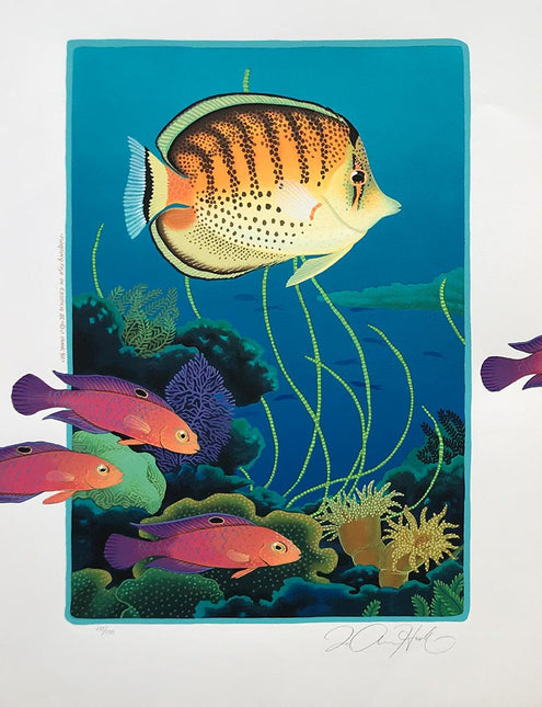 S9-S10-S11-S12-'Floating Fish in Exotica'