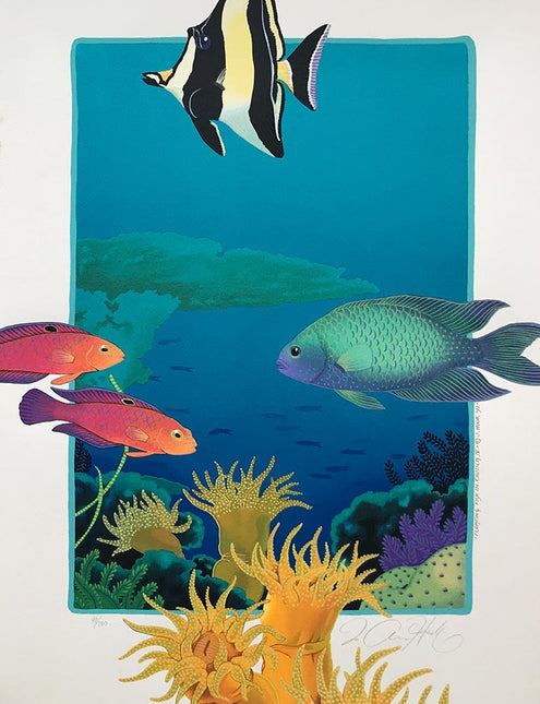 S9-S10-S11-S12-'Floating Fish in Exotica'