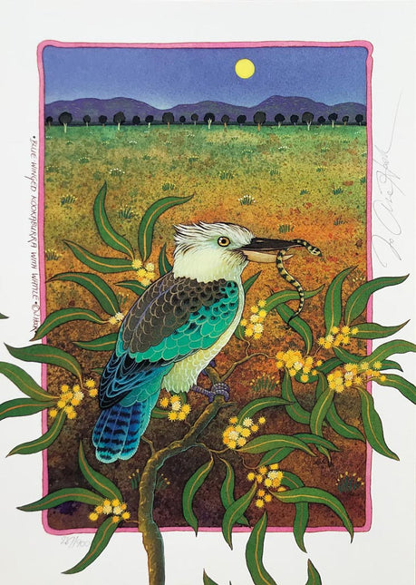 4s-'Kookaburra'