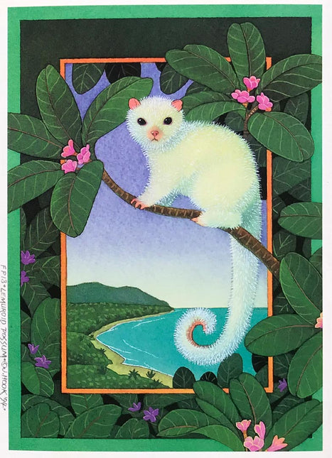 FP13-Lemuroid Possum