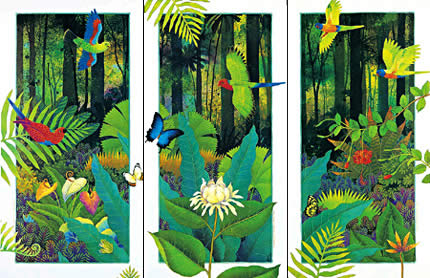 L1-L3 (set). "Rainforest Life" I,II,III
