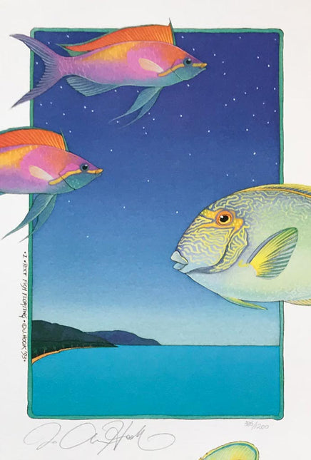 E 9-10-11-12 Reef Fish Floating