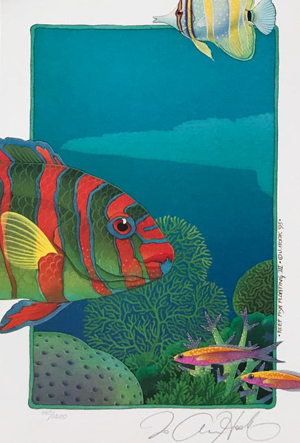 E 9-10-11-12 Reef Fish Floating