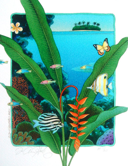 Reef and Rainforest 1