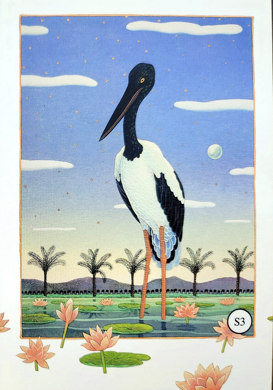 S3 - Jabiru with Full Moon
