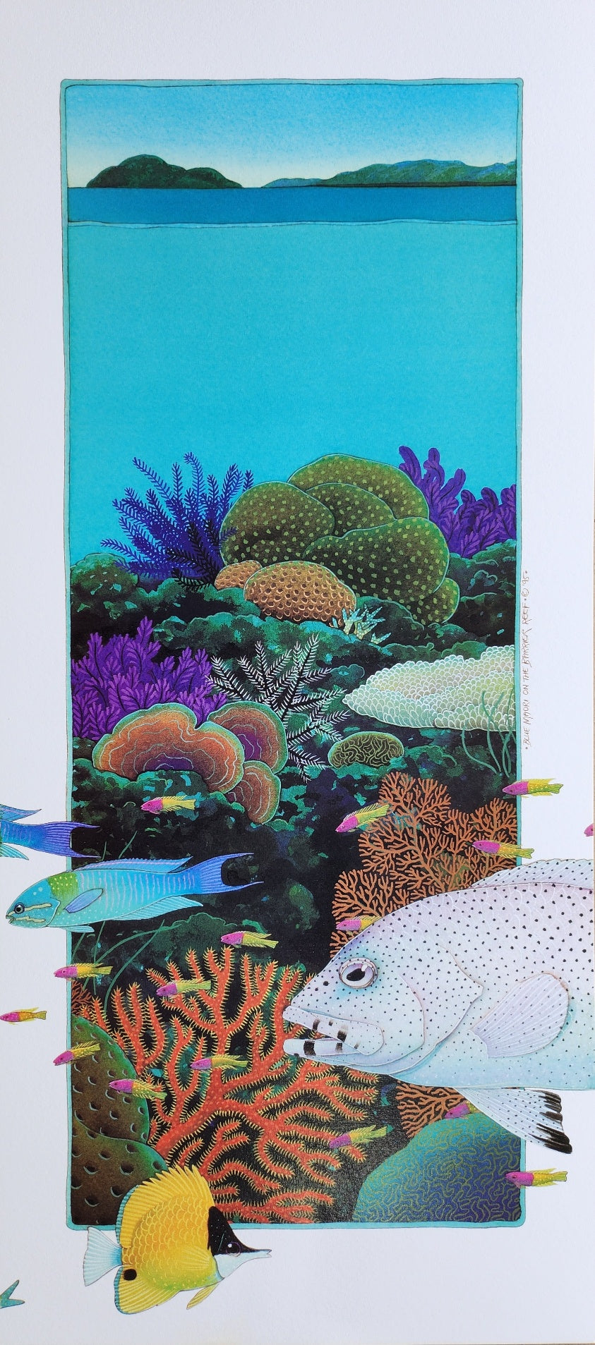 P15-P16 -  "Barrier Reef"