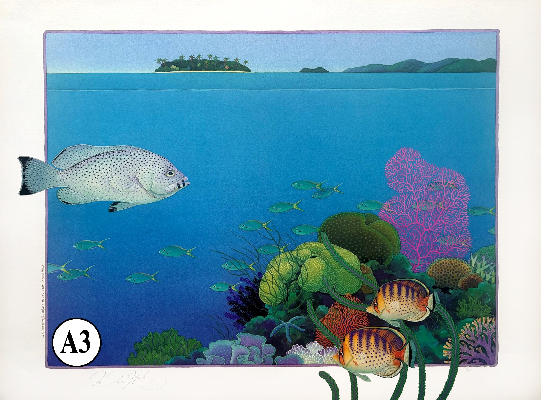 A3-'Blue Maori & Exotic Coral'