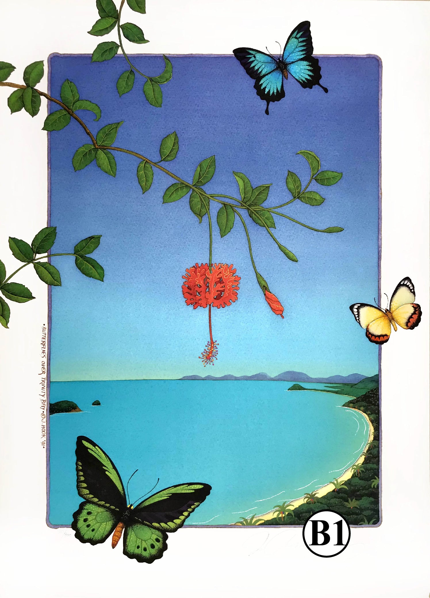 B1-'Butterflies over Trinity Bay'