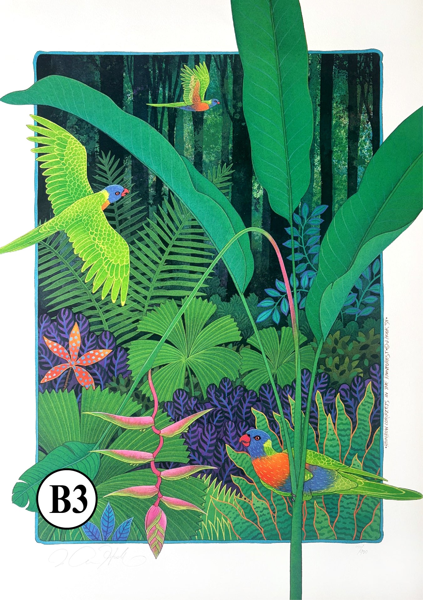B3-Rainbow Lorikeets