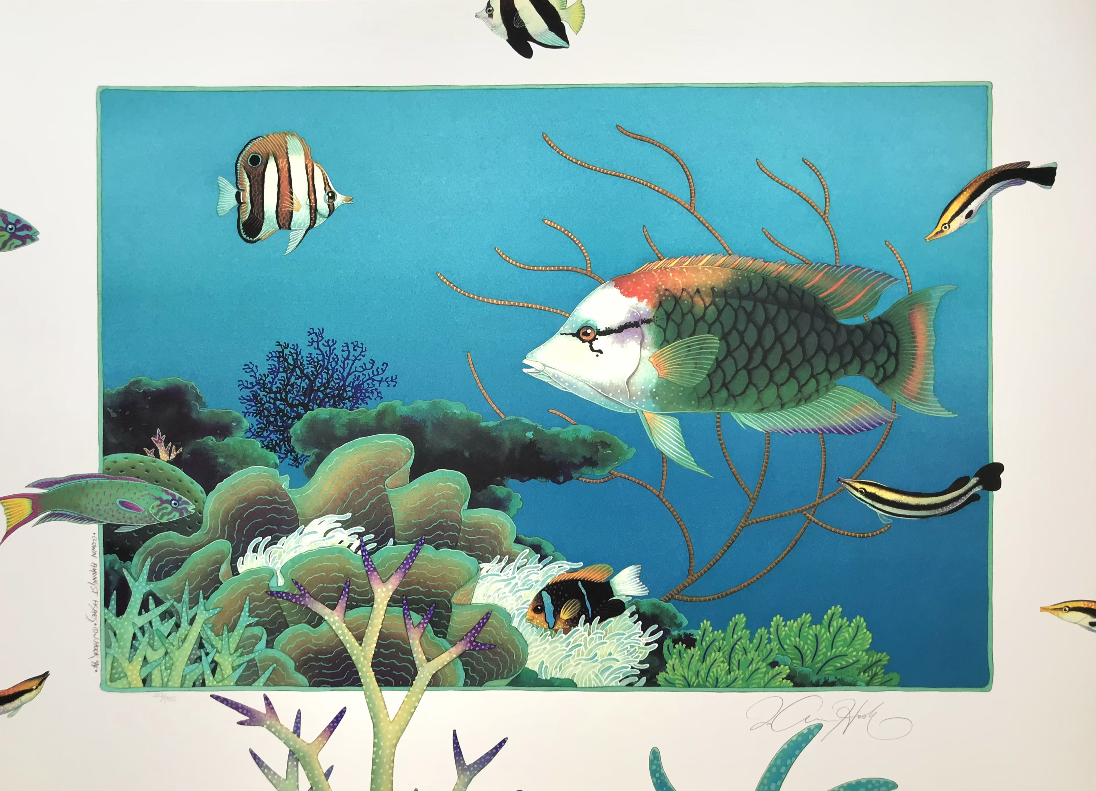 B4-'Clown Amongst Fishes'