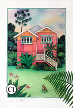 C1, C2-'Pink Queenslander' & 'Blue Queenslander'
