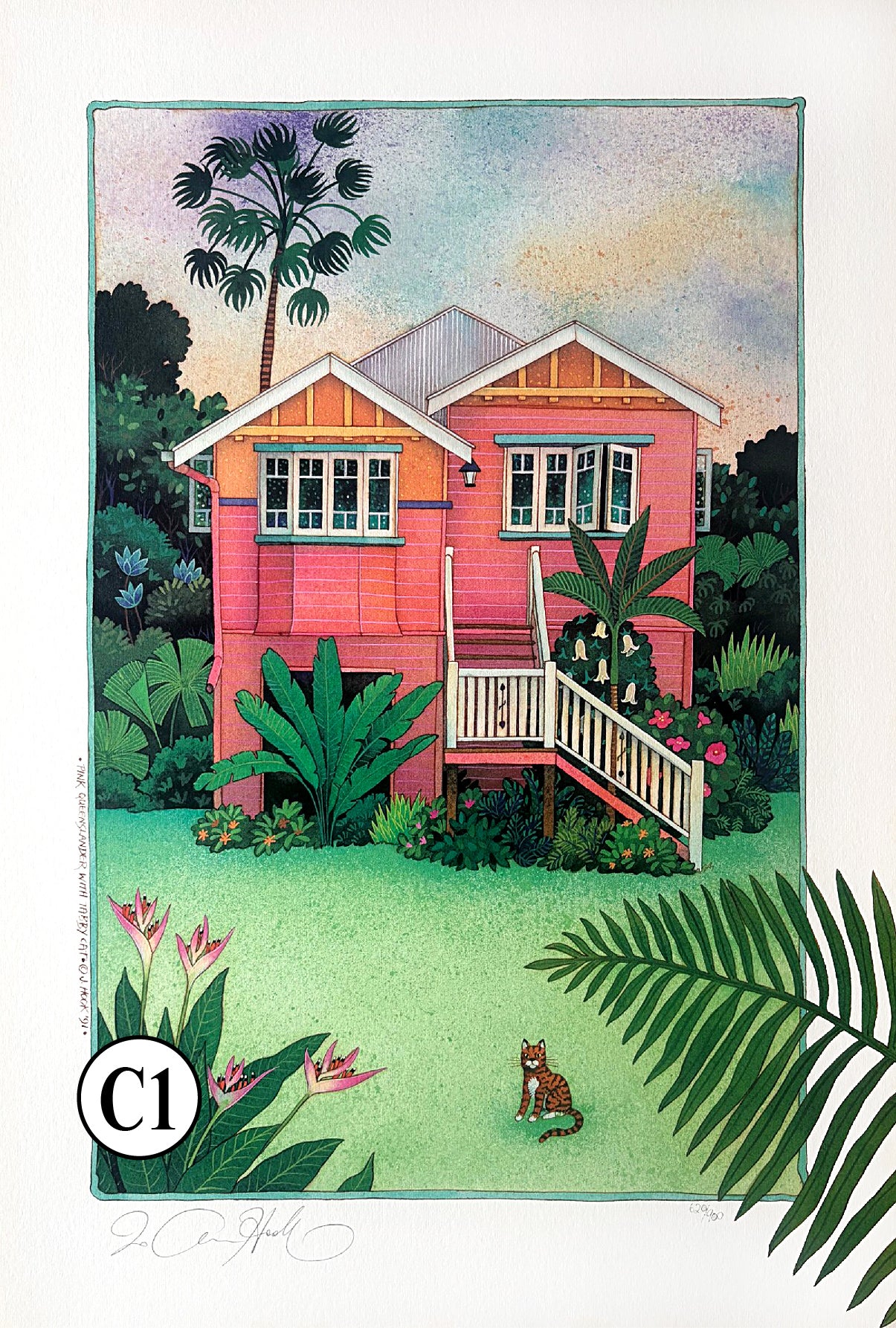 C1, C2-'Pink Queenslander' & 'Blue Queenslander' – JoAnne Hook