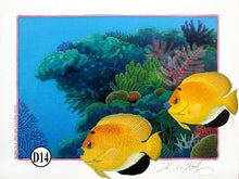 D13-14-15-16  With Coral