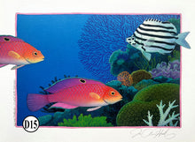 D13-14-15-16  With Coral