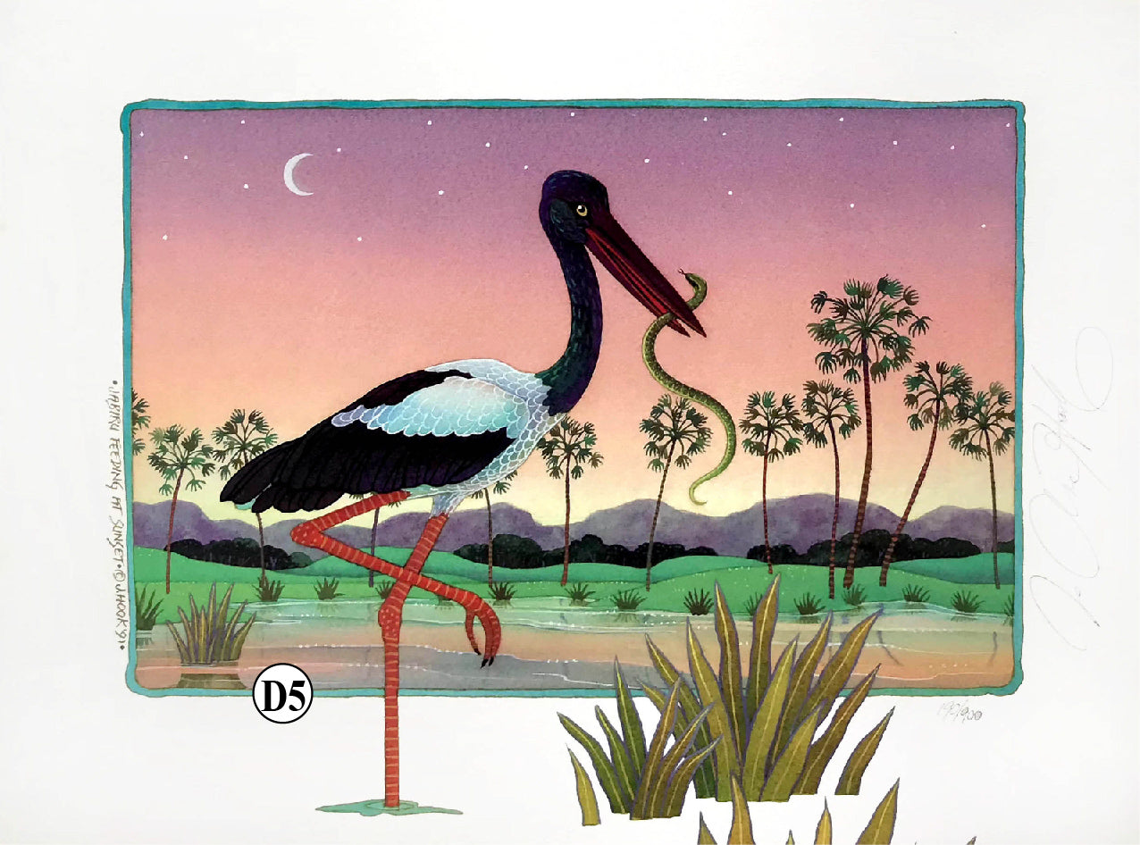 D5-'Jabiru Feeding'