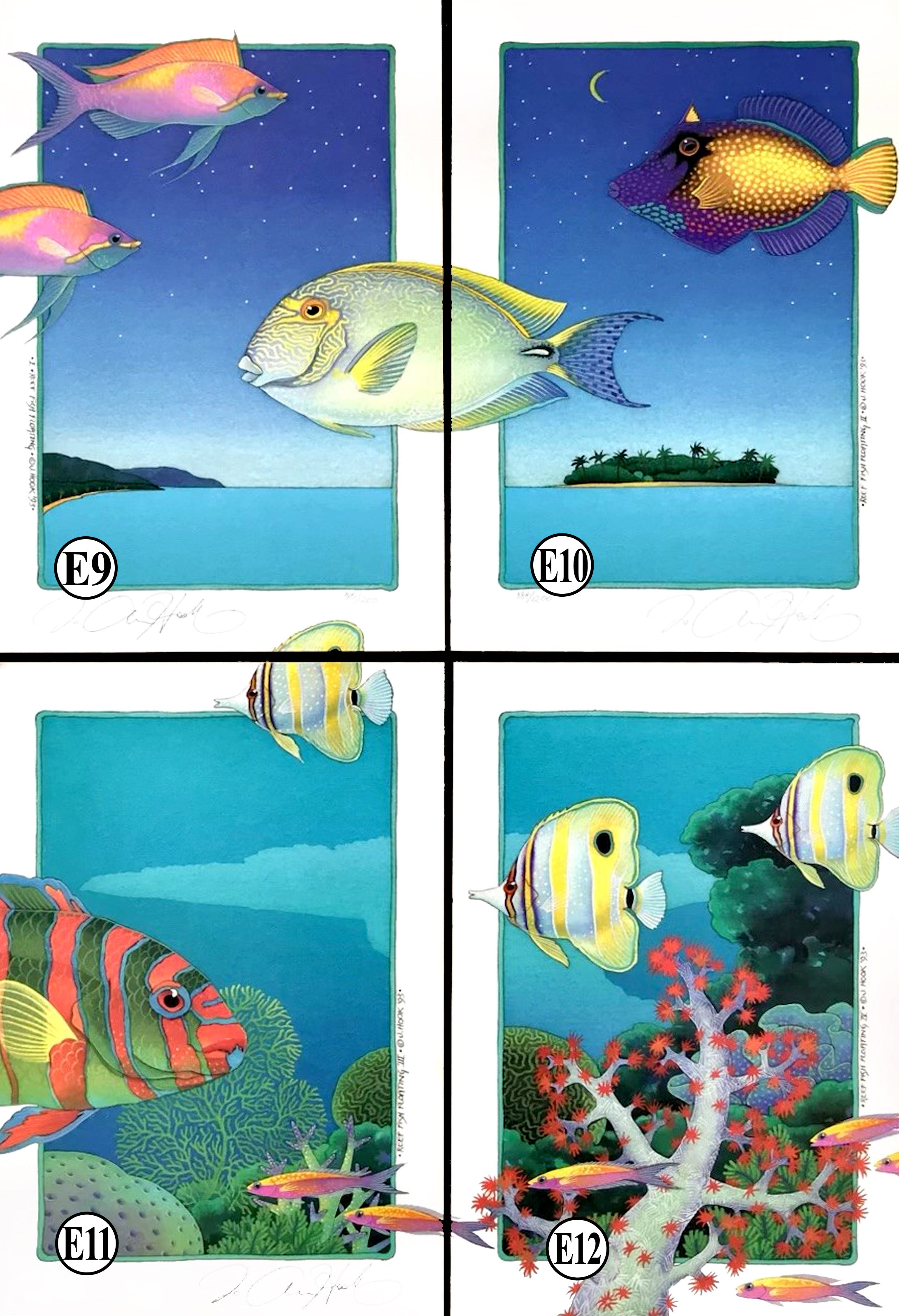 E 9-10-11-12 Reef Fish Floating