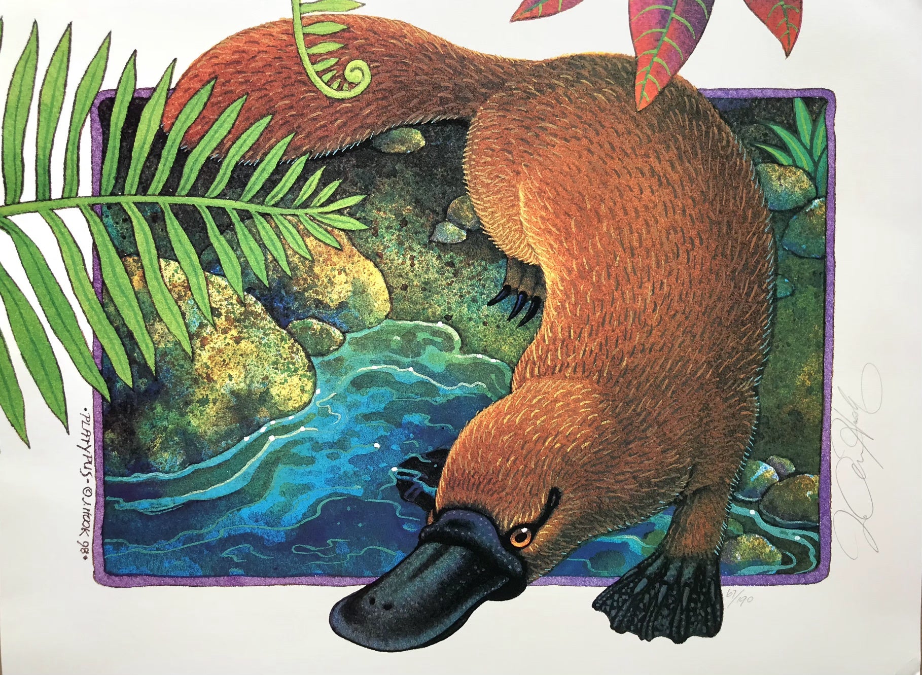 C8-'Platypus'