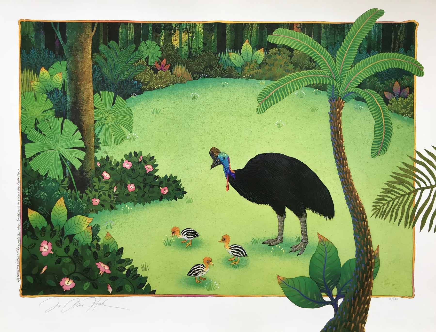 2A-'Cassowary and Chicks'