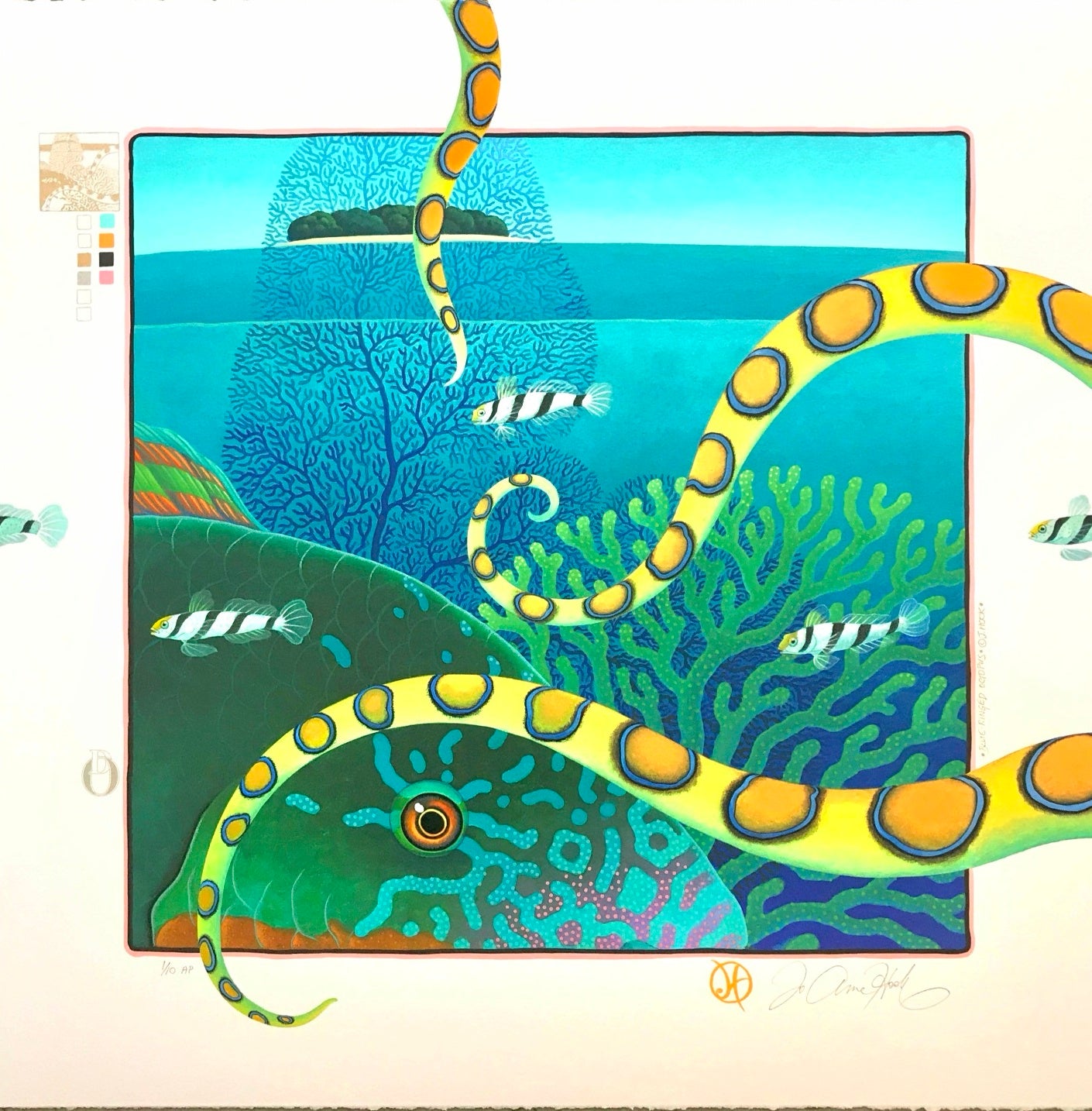 S28 - Blue Ringed Octopus