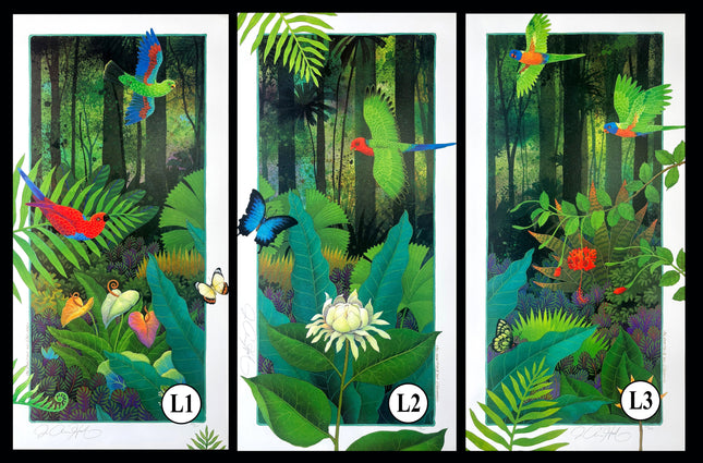 L1-L3 (set). "Rainforest Life" I,II,III