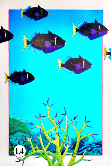 L4-'Flagtail Triggerfish'