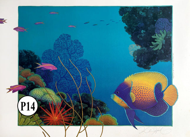 P14-'Angelfish with Coral'