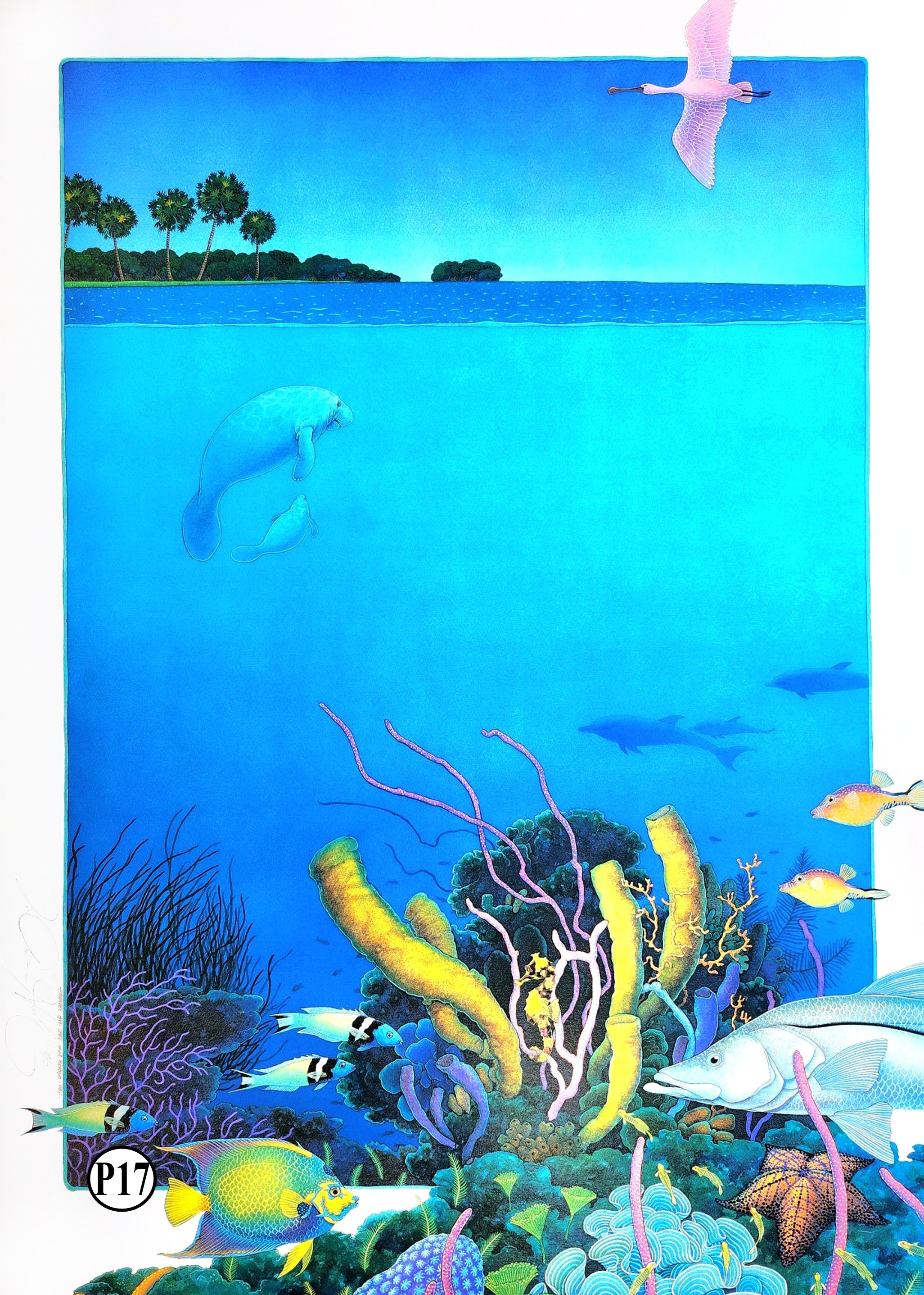 Posters – JoAnne Hook