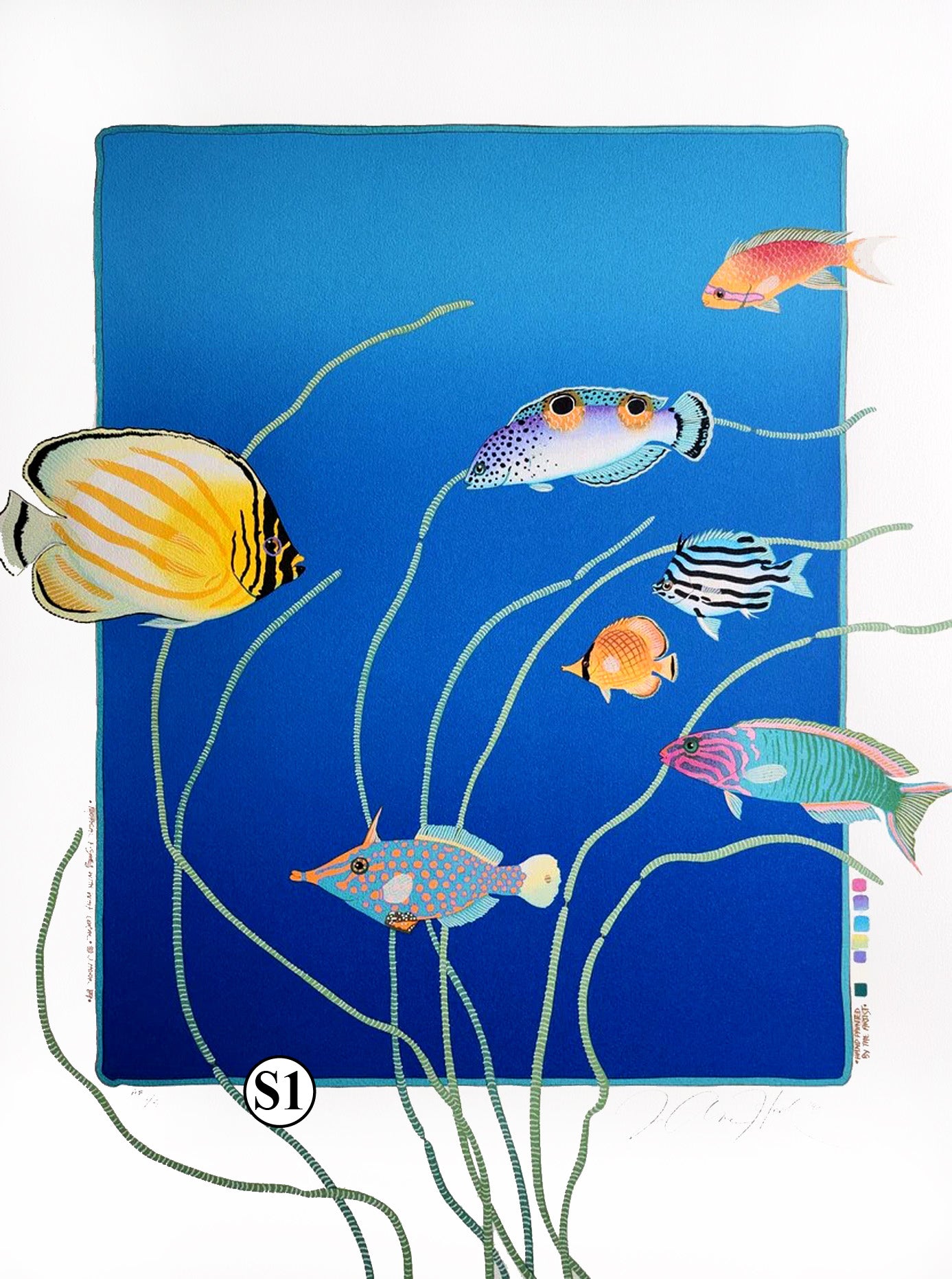 S1 - Tropical Fishes with Whip Coral