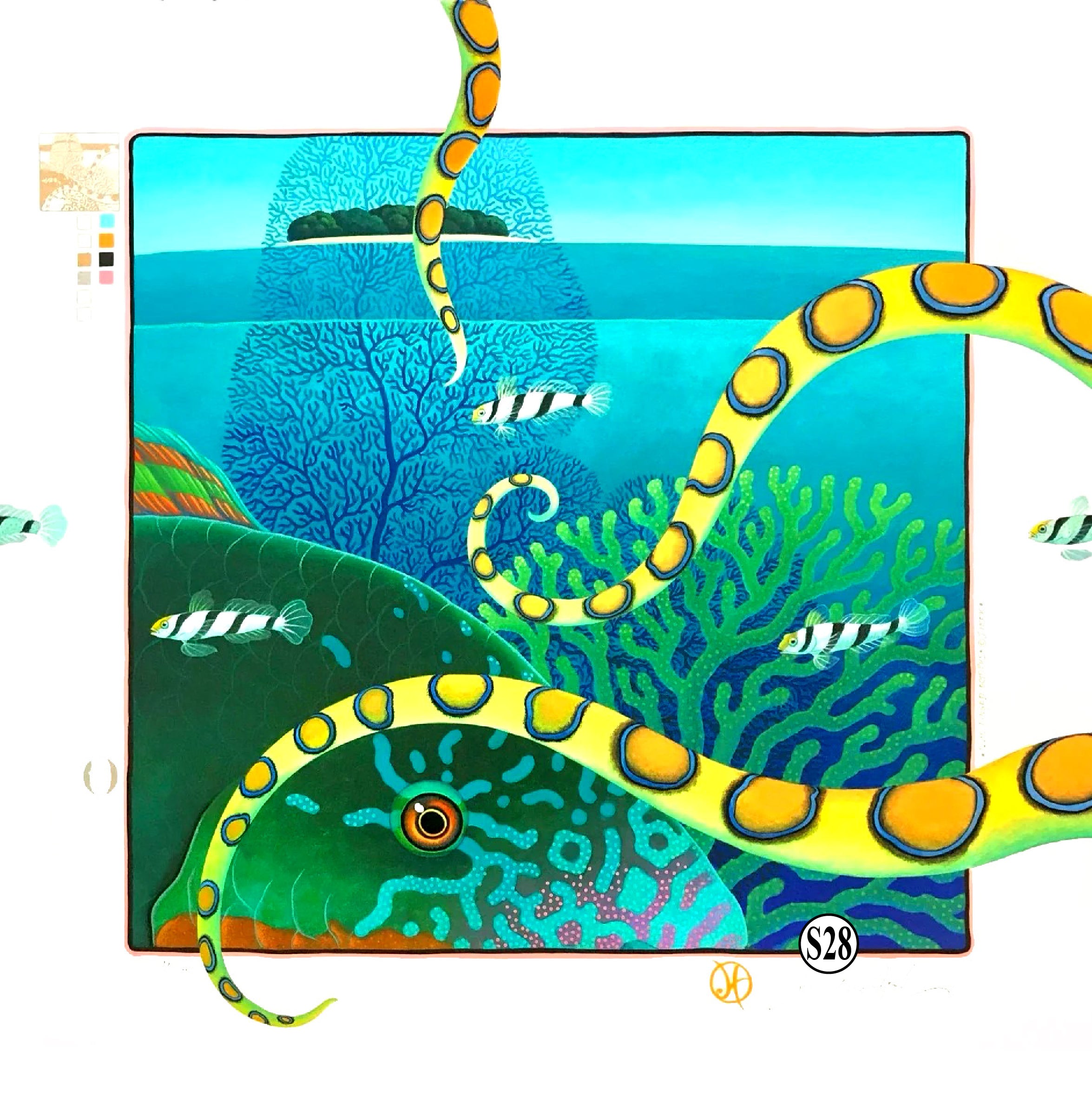 S28 - Blue Ringed Octopus