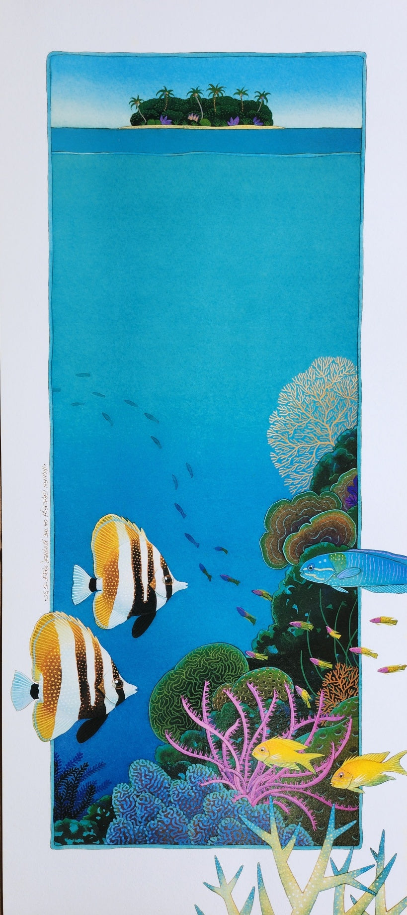 P15-P16 -  "Barrier Reef"
