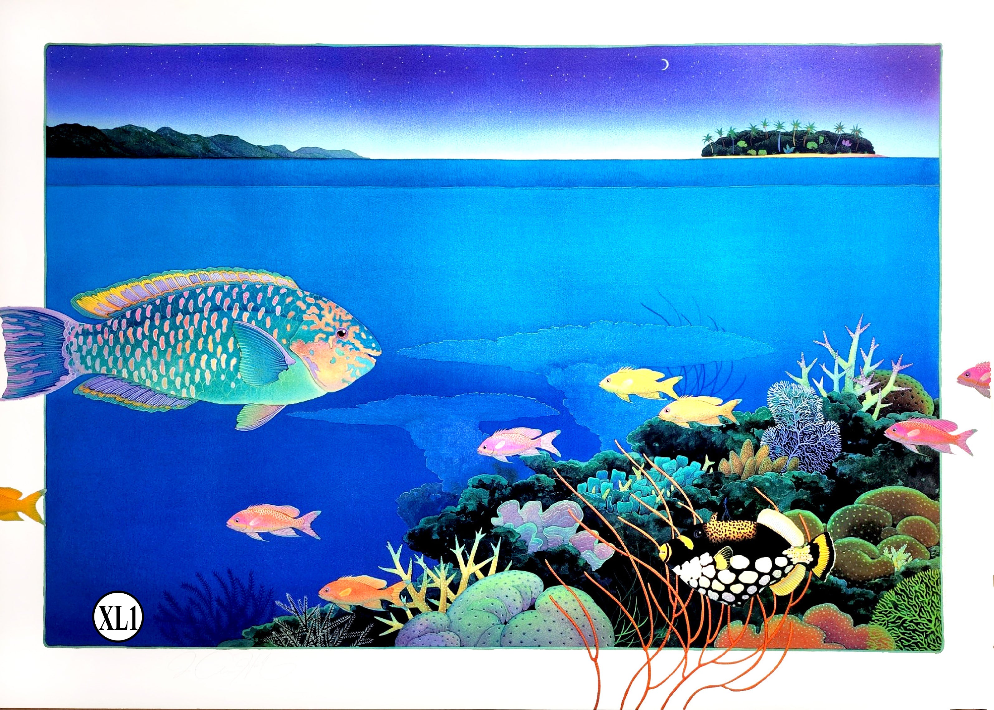 XL1-'Evening Over Barrier Reef'