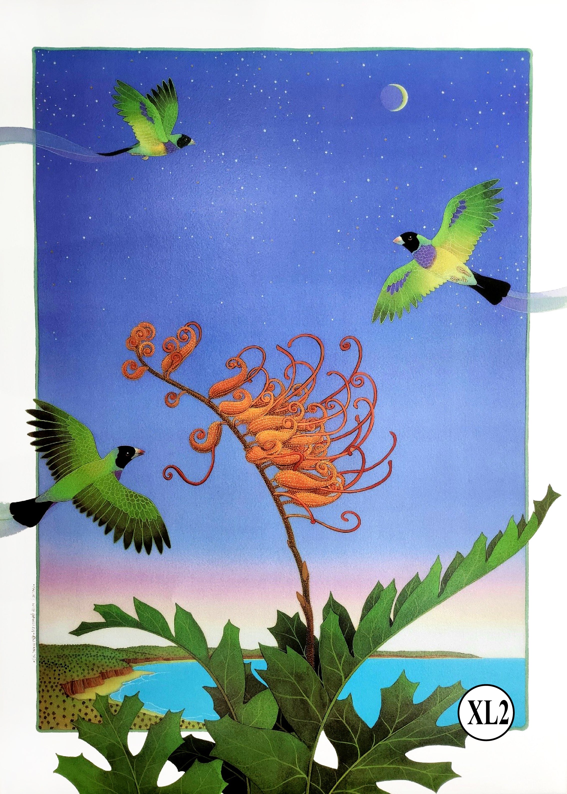 XL2-'Finches with Grevillea'