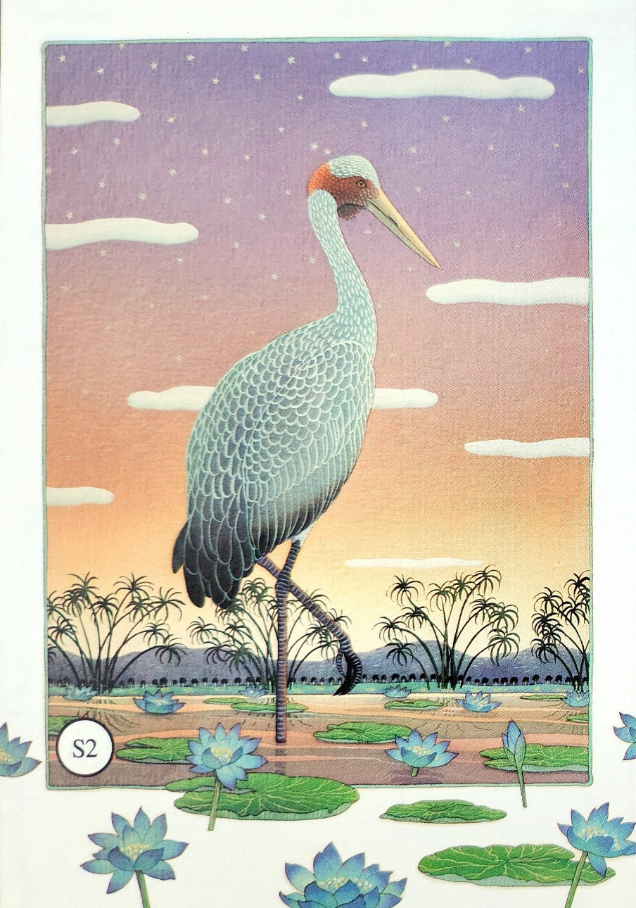 S2 - Brolga with Silver Stars