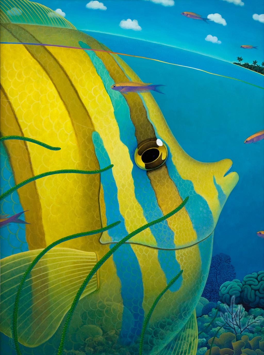 Angelfish – JoAnne Hook