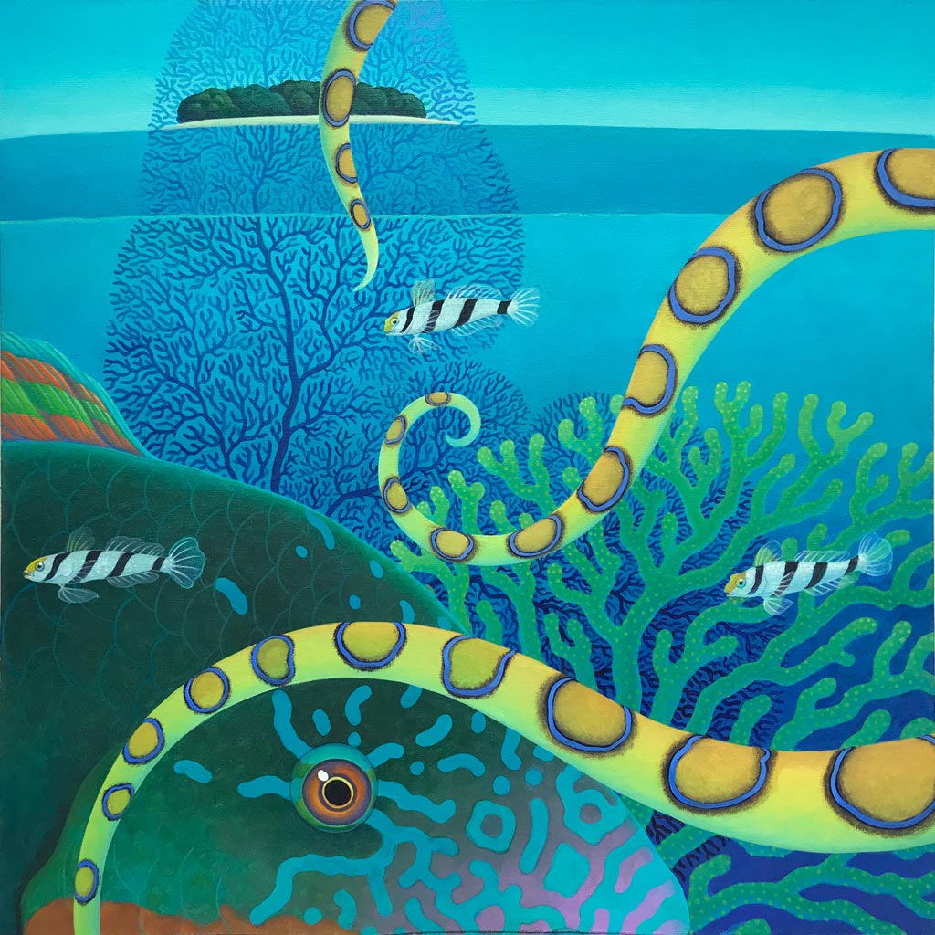 Blue-ringed Octopus