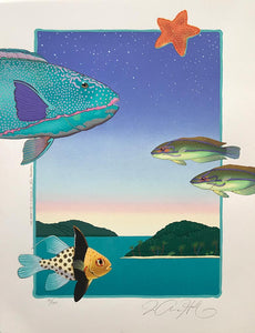 S9-S10-S11-S12-'Floating Fish in Exotica'