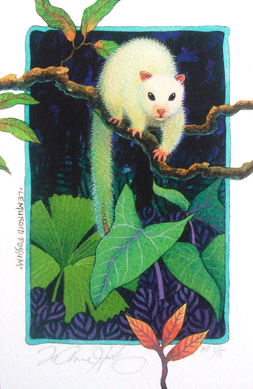Lemuroid Possum