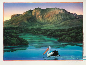 2e-'Pelican at Hinchinbrook Island'