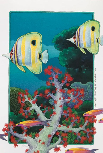 E 9-10-11-12 Reef Fish Floating