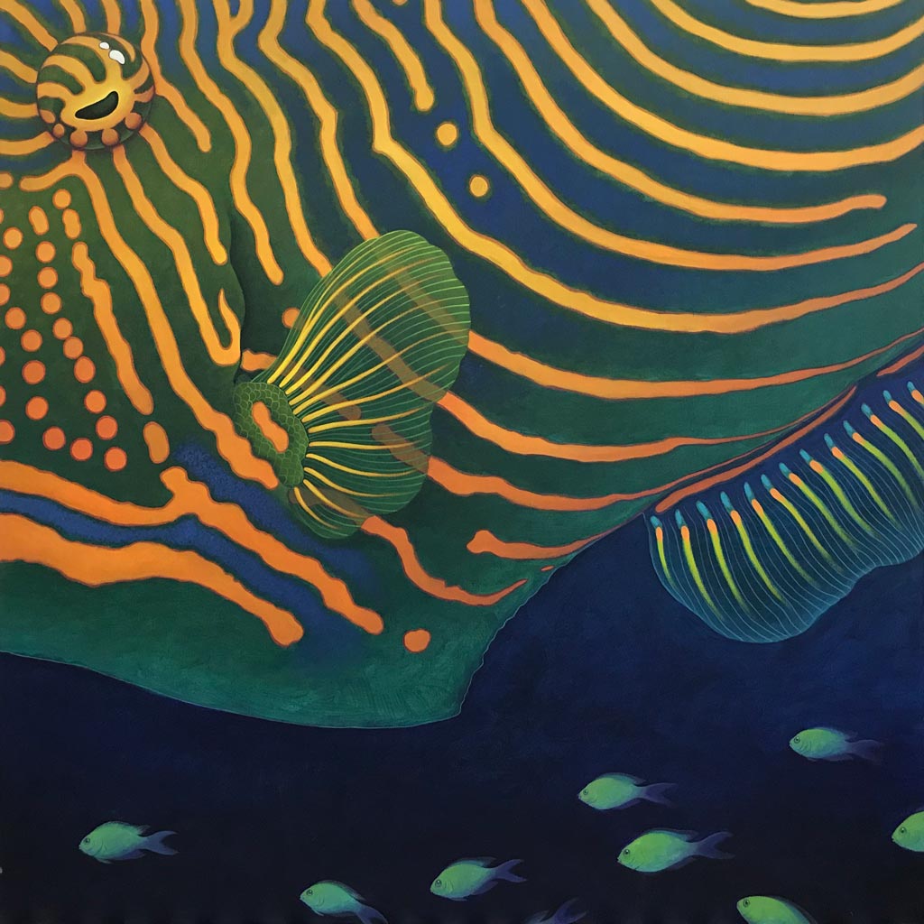 Striped Surgeonfish
