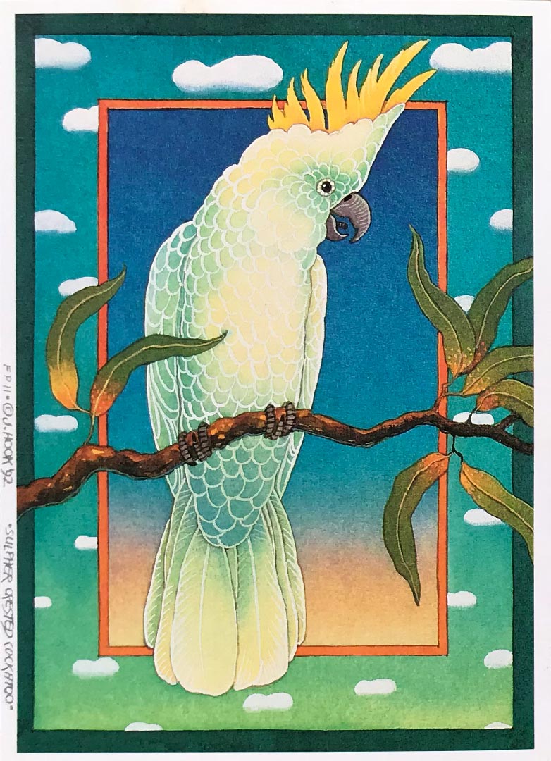FP11-White Cockatoo
