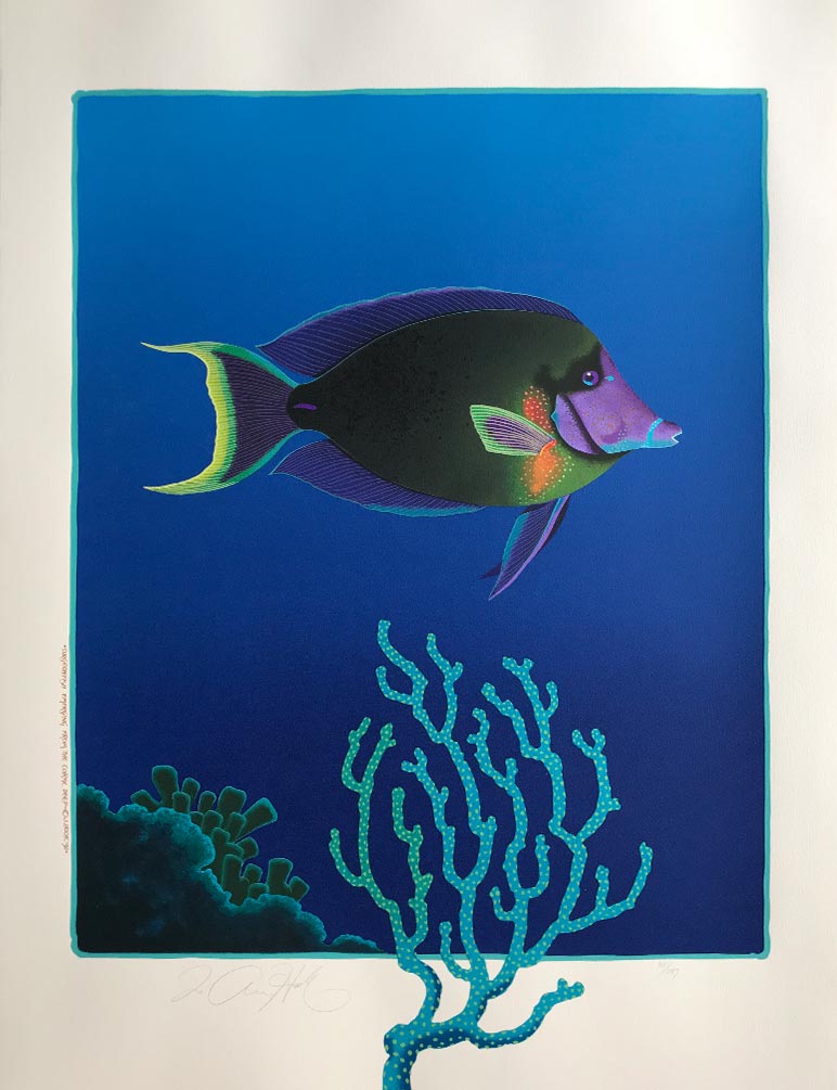 S7. "Surgeon Fish"